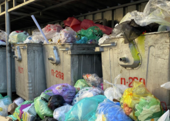 Таштандыга ташталган ымыркайдын апасы 2 ай камакта болот