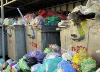 Бишкекте наристесин таштандыга таштаган келин эч жакка кетпөө тил каты менен бошотулду