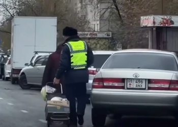 Күндүн видеосу: Улгайган апанын баштыгын сүйрөшкөн жол тескөөчүнүн видеосу тарады