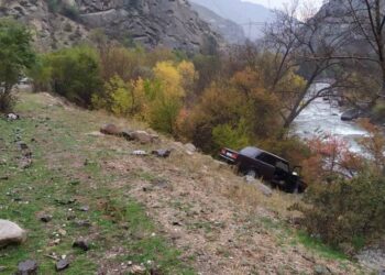 Бишкекте изделип жаткан жигиттин жансыз денеси капчыгайдан табылды. Аны унаа үчүн өлтүрүп коюшкан