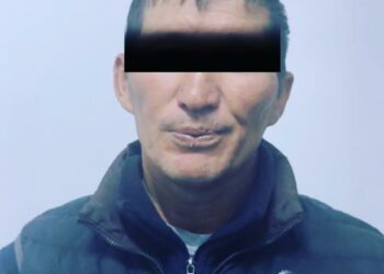 Нарында «Жамбаш» каймана аттуу жаран кармалды. Ал ашкана ээсинен акча талап кылган