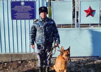 Чүйдө дайынсыз болуп жаткан 7 жаштагы кызды ит тапты