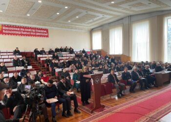 «Күйөөм, кызым, күйөө балам мени байлап, жер төлөдө кармашты» деген аял Акыйкатчыга кайрылды