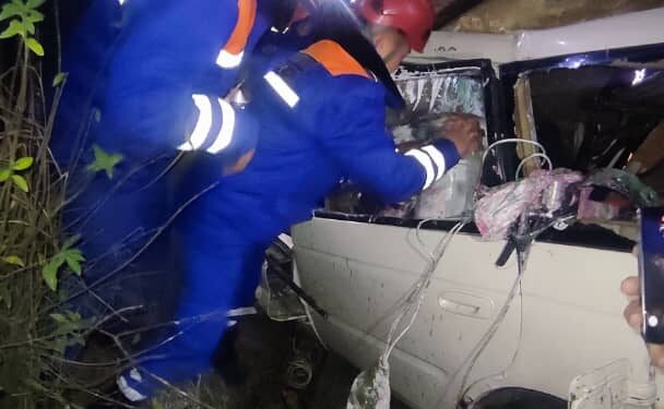 Бишкекте таңга маал катталган жол кырсыктан 2 жаран куткарылды (сүрөт)