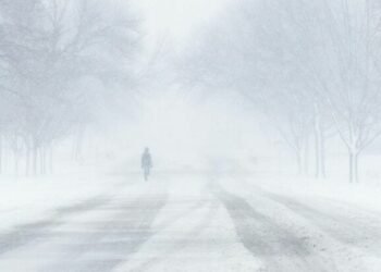 Монголияда кар бороонунан 334 адам дайынсыз болуп жаткан. Алардын 333ү табылды