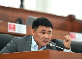 Тазабек Икрамов Жапаровдун «электр энергияга байлар байдай төлөйт» дегенин сынга алды