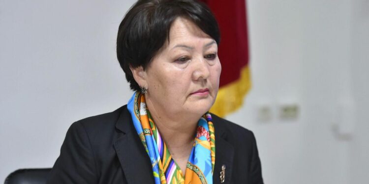 «Аброюбузга шек келтирет». Кыргызгидромет билим берүү министрине жооп берди