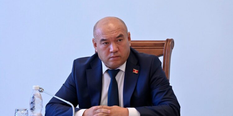 Депутат: «Майыптыгы бар адамга кол көтөрүү — бул айбандын иши»