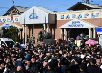 «Дордойдон» салык чогулткан 5 салыкчы кармалды