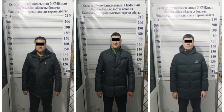 Жалал-Абадда патентке төлөнчү акчаны өзүлөрү алган салыкчылар кармалды