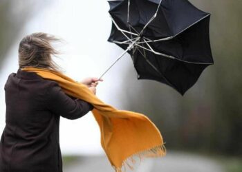 Жакынкы 3 саат аралыгында Бишкек менен Чүйдө катуу шамал болот