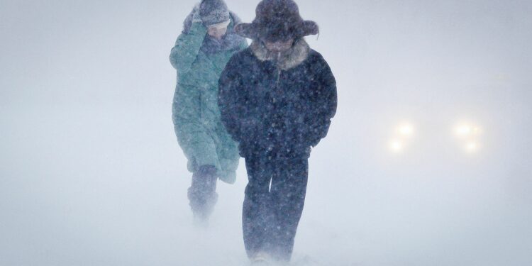 Окуучулардын онлайн окууга өткөнү эмне үчүн кеч айтылды? Министр түшүндүрдү