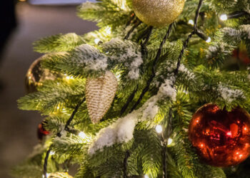 Бишкекте жаңы жылдык концерт саат 19:00дө башталат. Автобус жана троллейбус түнгө чейин жүрөт