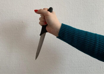 Ошто 18 жаштагы эжеси 9 жаштагы инисин бычак менен сайып өлтүрүүгө шектелип жатат