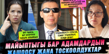 Майыптыгы бар адамдар көз каранды болбой жашоосу үчүн кандай шарттар керек?