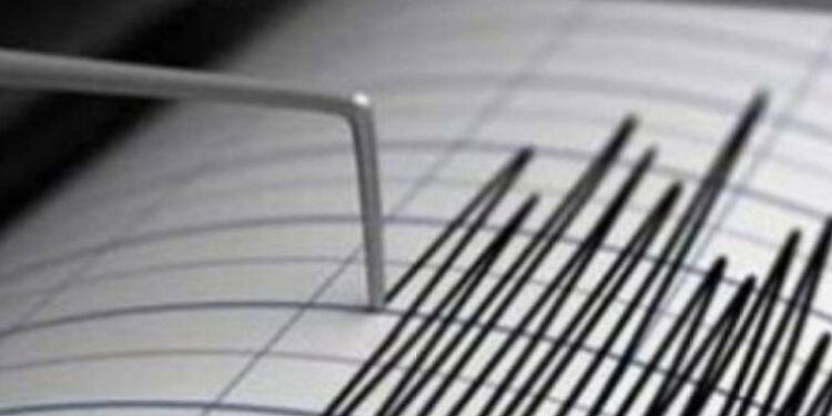 «Он бири сезилген». Казакстанда 23-январдан бери 1900дөн ашык жер титирөө катталган