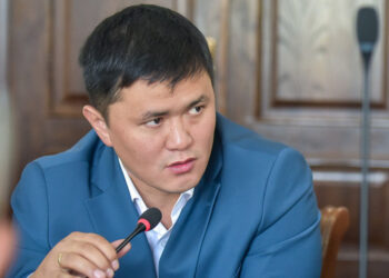 Мамкурулуштун жетекчиси жумушчу топ түздү. Ал Бишкекте жана ага жакын аймактагы көп кабаттуу үйлөрдү кыдырат