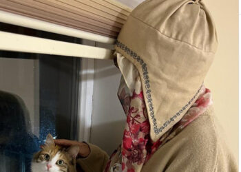 Асел Ногойбаеванын адвокаты сот мыйзамда каралган эң жогорку жазаны бергенин айтты