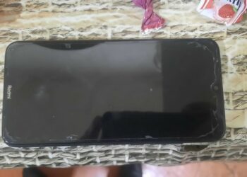 Абактан депутатка чалган жаран аныкталып, жазалоочу камерага киргизилди