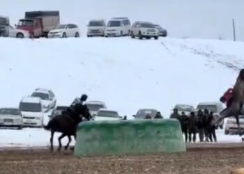 Таласта тай казанды сүзүп, аты менен кошо учкан көк бөрүчүнүн видеосу тарады