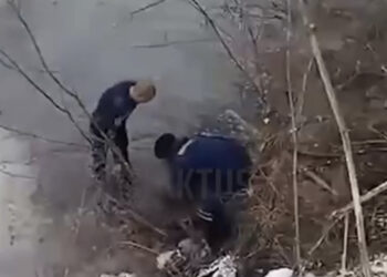 Сокулукта 3 окуучу муз алдындагы сууга чөгүп каза болду