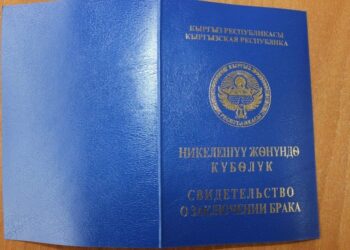 Эки аялдуулукту мыйзамдаштыруу… Мыйзам долбоор талкууга коюлганы жатабы?