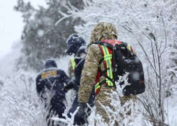 Аламүдүн капчыгайына кетип, дайынсыз болуп жаткан жаран табыла элек (сүрөт)