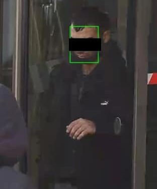 Бишкекте издөөдө жүргөн жаран видео камералардын жардамы менен кармалды