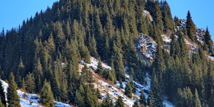 13-январда өлкөдө күтүлгөн аба ырайы