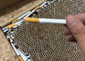 УКМК: Тамеки буюмдарын мыйзамсыз алып келүү иштерине бөгөт коюлду