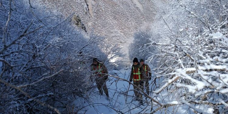 Аламүдүн капчыгайында жоголгон жигит. Издөө иштери убактылуу токтотулду