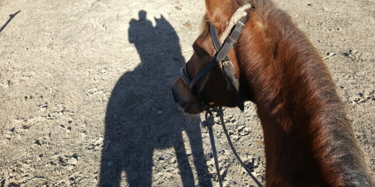 Сузакта улак тартышта жаран сабалып, ооруканага түшкөн. Окуянын чоо-жайы