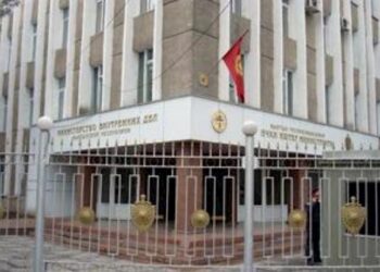 ИИМ: «Айт айт десе» жана «Temirov Live» массалык баш аламандыкка чакыргандыгы үчүн кылмыш иши козголду