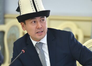 «Мени да урушканы жатат». Депутат мамлекеттик мекемелерде кызмат көрсөткөндөргө нааразы болду