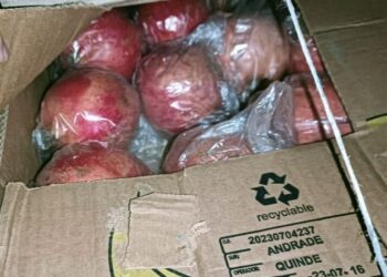 Өзбекстандан Кыргызстанга 7 тонна анар алып келе жаткан жигит кармалды