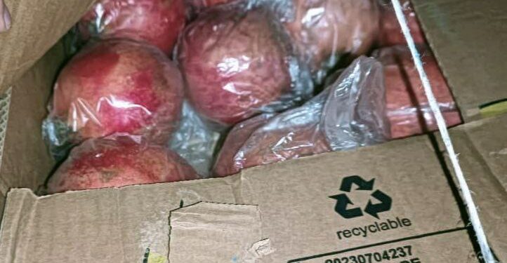 Өзбекстандан Кыргызстанга 7 тонна анар алып келе жаткан жигит кармалды