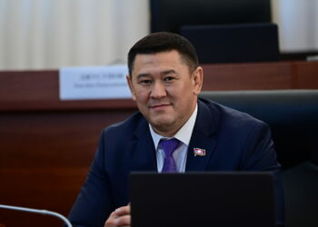 Депутат Жакышов: «Быйыл картошка, кара өрүк, төө буурчактын түшүмү да, баасы да жакшы болбой калды»