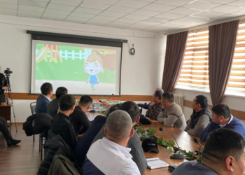 Эми Бишкектеги автобус, троллейбустарда кыргыз тилиндеги анимациялык фильмдер көрсөтүлөт