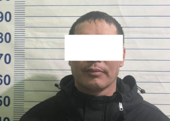 Лейлекте мас күйөөсүнөн токмок жеген келин милицияга кайрылды