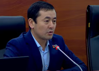 Депутат ага абактан чалуу болгонун айтты