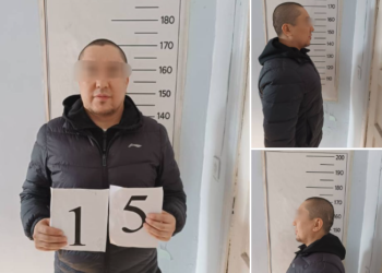 Ошто ресто-барда зомбулук көрсөткөн шектүү 3 суткага камалды