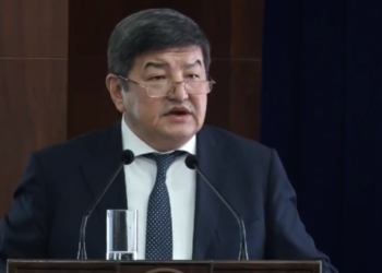 Акылбек Жапаров: «Мамкызматкерлер премия алгысы келсе, ККМ чек чогултсун»