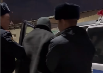 Түндө мас абалында үй-бүлөсүнө тынчтык бербеген жаран 3 суткага камалды (видео)