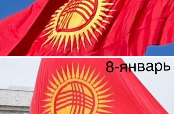 Мамлекеттик катчы 1-январда илинген желекти «туура эмес» деп атады