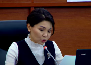 Депутат: «Баткенде 7 жаштагы балага сексуалдык аракеттер болгон. Апасы акыйкаттык издейт»