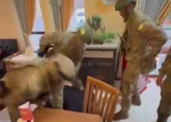 Чолпон-Атада “смотрящий” кармалды. Ал коттедждерди ээлеп алган