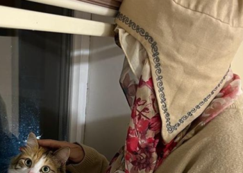 Кулак-мурду кескиленген келин мурдагы жолдошун өмүр бою эркинен ажыратууну суранат