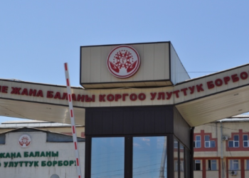 «Дарылоонун сапатын жогорулатат». Кыргызстан балдардын рак оорусуна каршы күрөшүү боюнча Глобалдык демилгеге кошулду