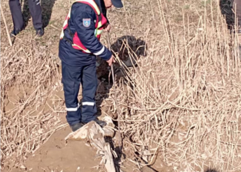 Ошто 1 айдан бери изделип жаткан жарандын жансыз денеси табылды