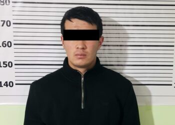 Ошто мал уурдап, этин ашканага өткөрүп жүргөн шектүү кармалды